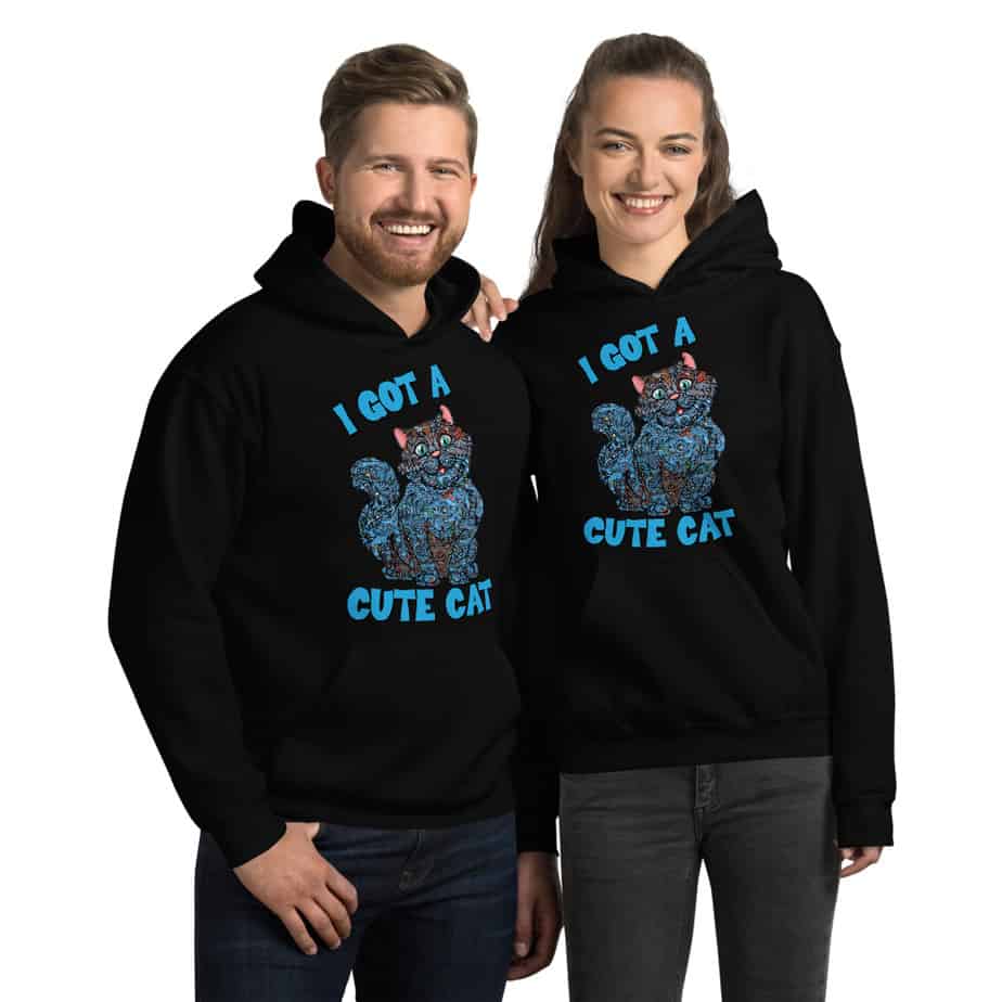 I Got a Cute Cat Unisex Hoodie Hooded Sweatshirt - Unisex Style 18500 Adult Pullover